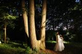 Sous bois 17 * 5184 x 3456 * (7.72MB)